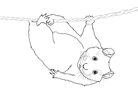 Cute Hamster Hanging On A Rope Coloring Page